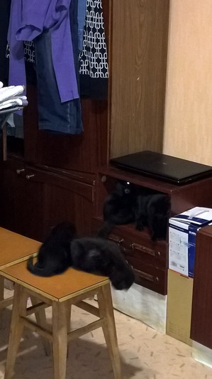 фотография: Мы уже почти выросли! фото: Мы уже почти выросли!