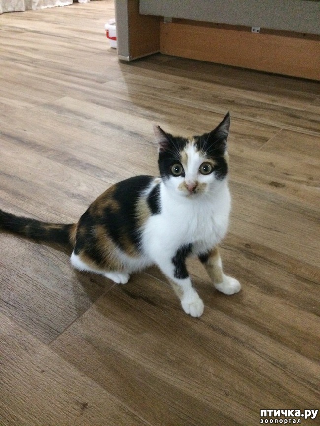 ���� 3: ��� ���� ������ - �� �������