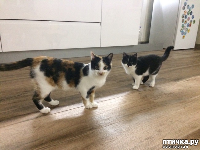 ���� 4: ��� ���� ������ - �� �������