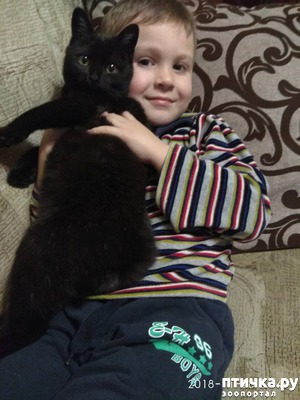 фотография: Привет от Черныша-Маркиза фото: Привет от Черныша-Маркиза