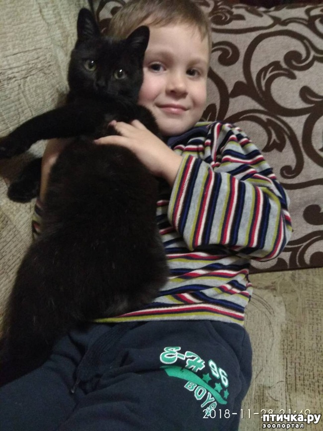 ���� 1: ������ �� �������-�������