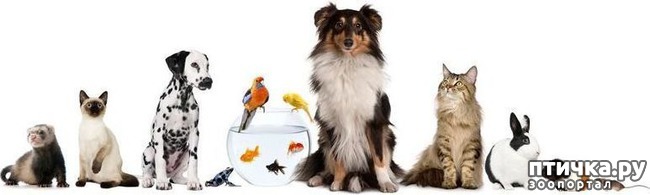 ���� 1: � ������ �������� ��� ���������.