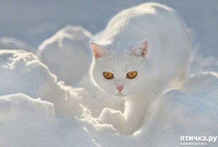 ���� 2: ��� ���, ��� �����...