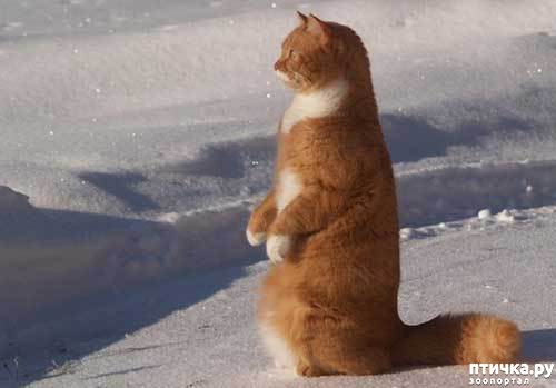 ���� 6: ��� ���, ��� �����...