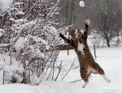 ���� 7: ��� ���, ��� �����...