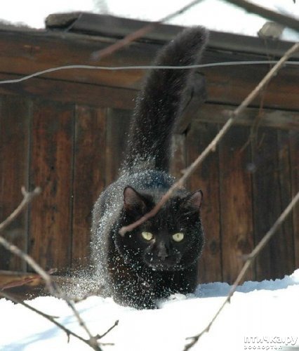 ���� 8: ��� ���, ��� �����...