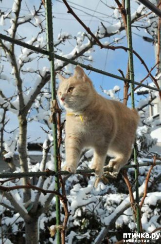 ���� 9: ��� ���, ��� �����...