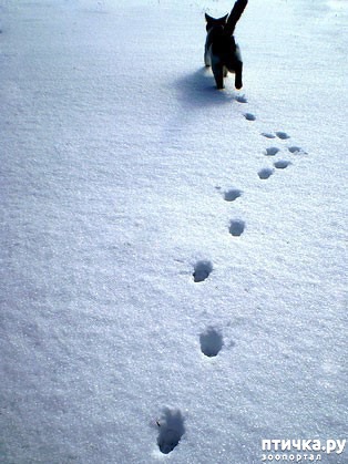 ���� 10: ��� ���, ��� �����...