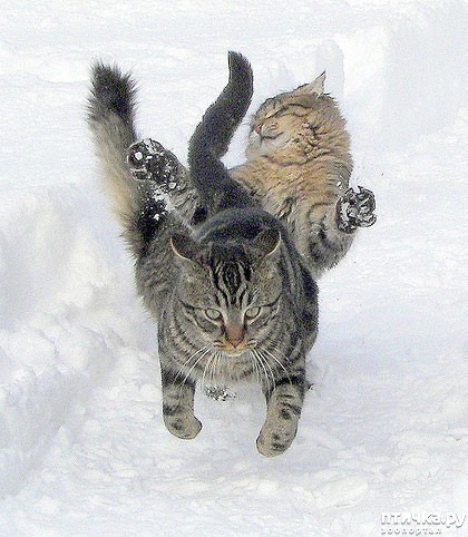 ���� 12: ��� ���, ��� �����...