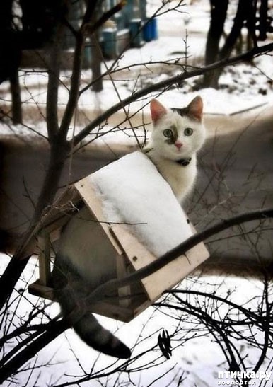 ���� 13: ��� ���, ��� �����...