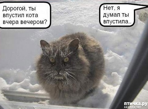 ���� 14: ��� ���, ��� �����...