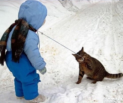 ���� 15: ��� ���, ��� �����...