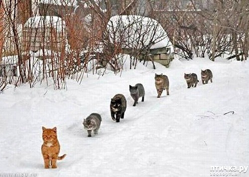 ���� 16: ��� ���, ��� �����...