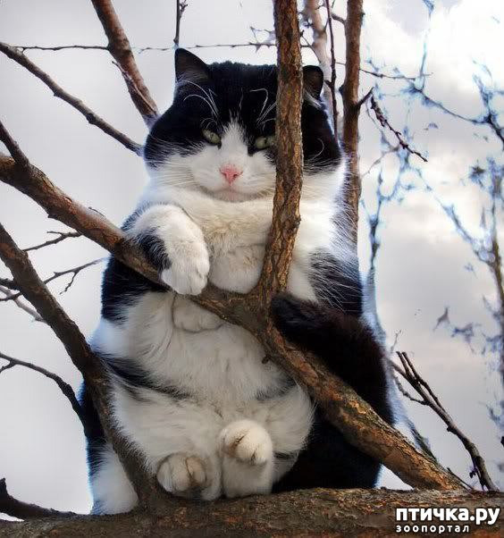 ���� 18: ��� ���, ��� �����...