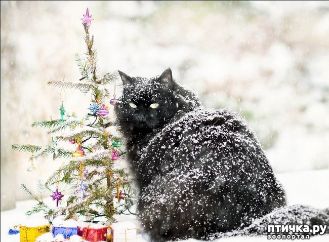 ���� 19: ��� ���, ��� �����...