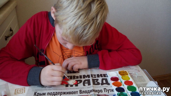 ���� 2: ��� �� ����� ������� ������