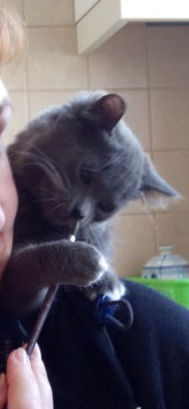 ���� 3: ��� �� ����� ������� ������