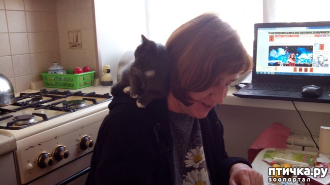 ���� 4: ��� �� ����� ������� ������