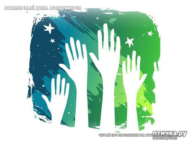 ���� 1: ��������� ���� ����������