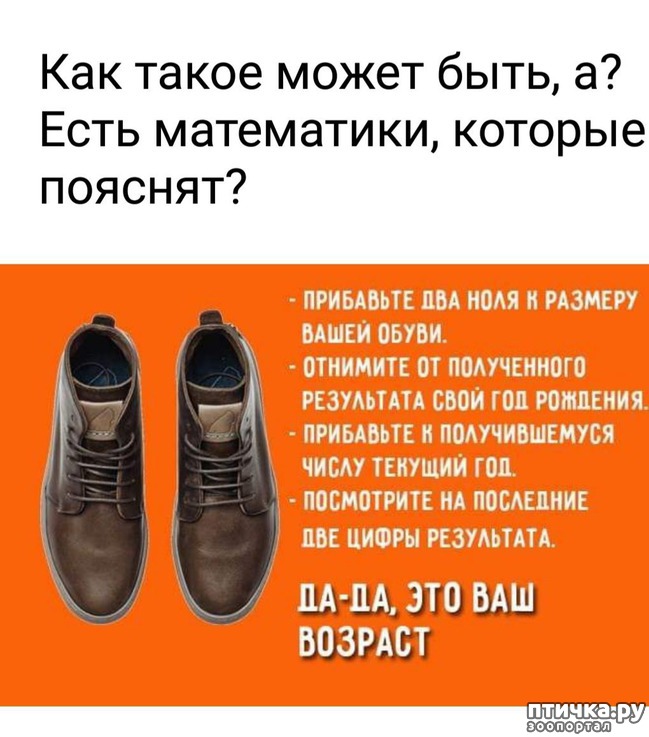 ���� 1: �������� ��� ������