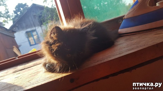 ���� 2: ������ ��� ���������