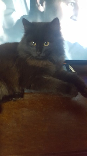 ����: ������ ��� ���������