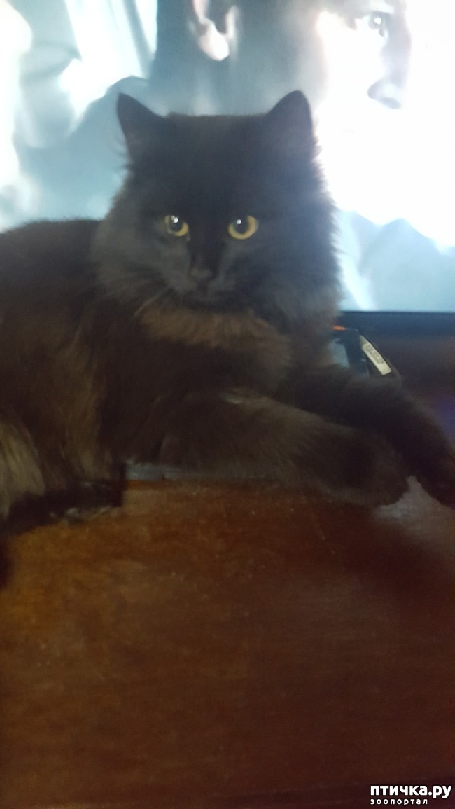 ���� 1: ������ ��� ���������