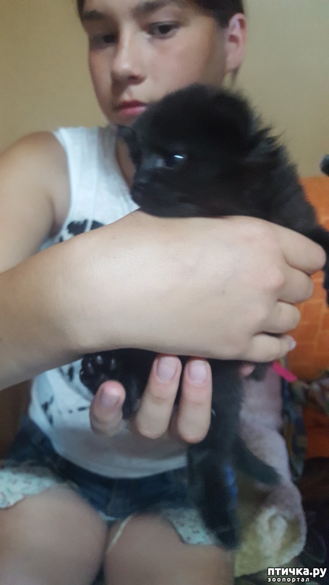 ���� 3: ������ ��� ���������