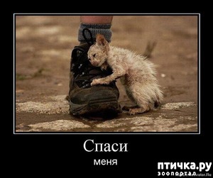 ����: �������� ����� �� ���������