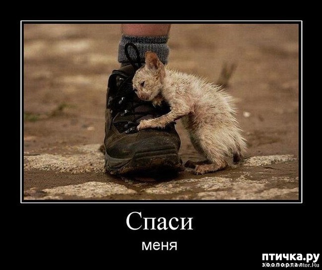 ���� 1: �������� ����� �� ���������