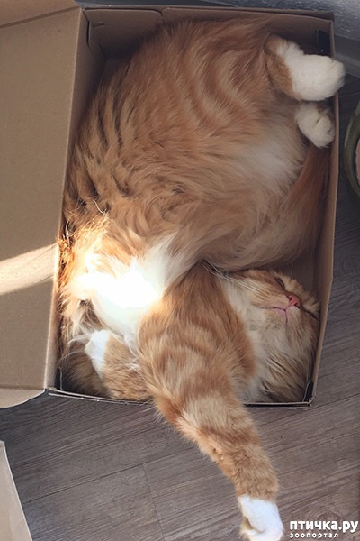 ���� 1: ����� � ��� �������� ��������, ����� 2