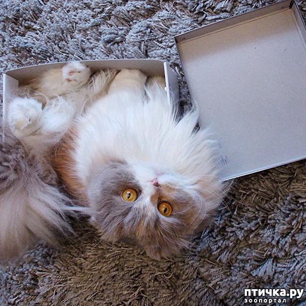 ���� 2: ����� � ��� �������� ��������, ����� 2