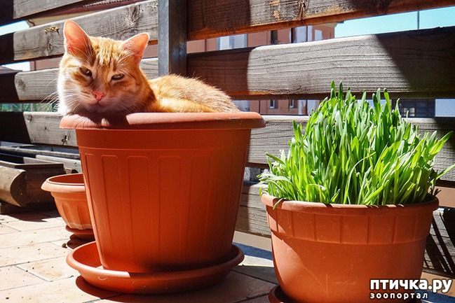 ���� 4: ����� � ��� �������� ��������, ����� 2