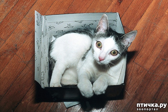 ���� 5: ����� � ��� �������� ��������, ����� 2