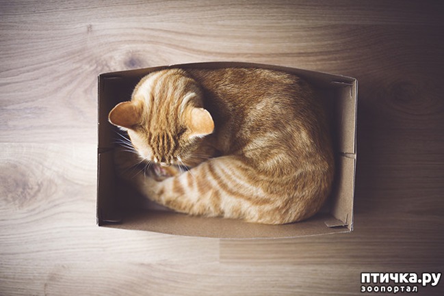 ���� 6: ����� � ��� �������� ��������, ����� 2