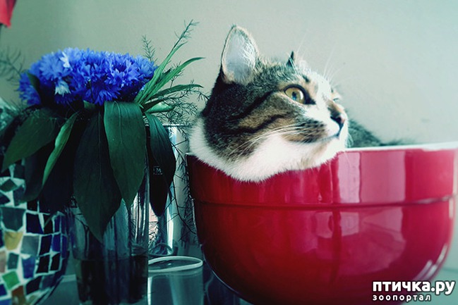 ���� 7: ����� � ��� �������� ��������, ����� 2