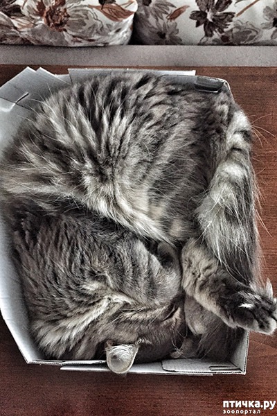 ���� 8: ����� � ��� �������� ��������, ����� 2