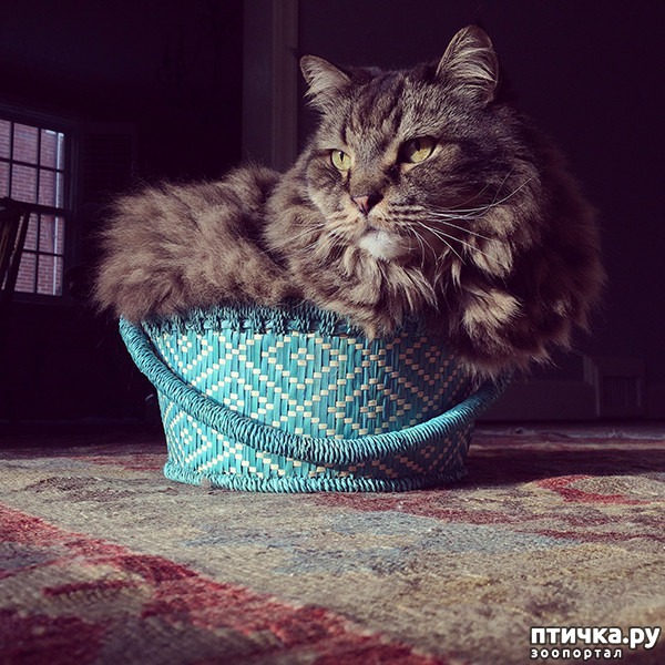 ���� 10: ����� � ��� �������� ��������, ����� 2