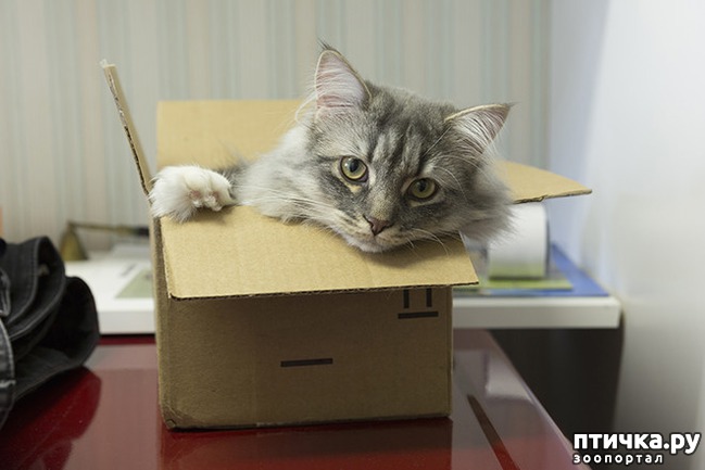 ���� 11: ����� � ��� �������� ��������, ����� 2