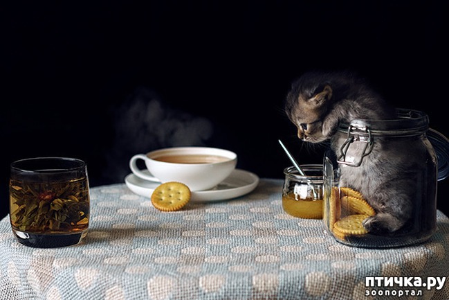 ���� 12: ����� � ��� �������� ��������, ����� 2