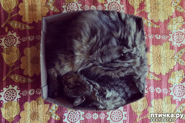 ���� 14: ����� � ��� �������� ��������, ����� 2