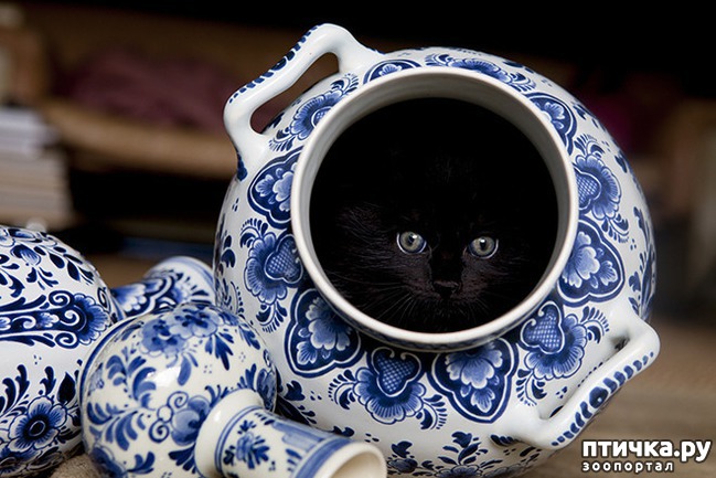 ���� 15: ����� � ��� �������� ��������, ����� 2