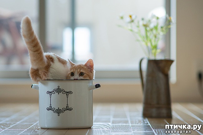 ���� 16: ����� � ��� �������� ��������, ����� 2