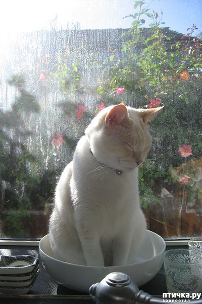 ���� 17: ����� � ��� �������� ��������, ����� 2