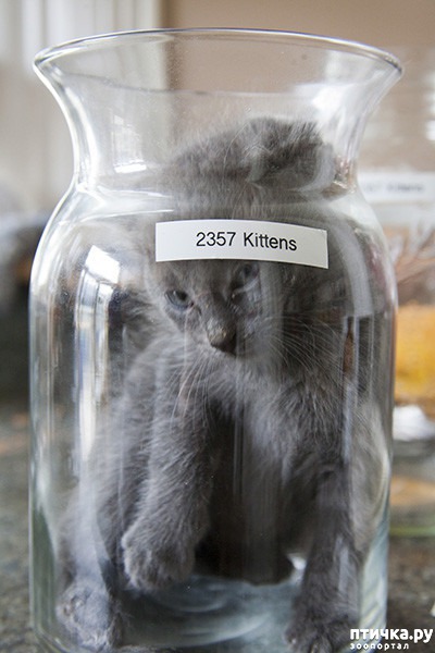 ���� 18: ����� � ��� �������� ��������, ����� 2