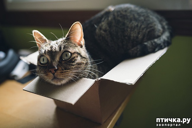 ���� 20: ����� � ��� �������� ��������, ����� 2