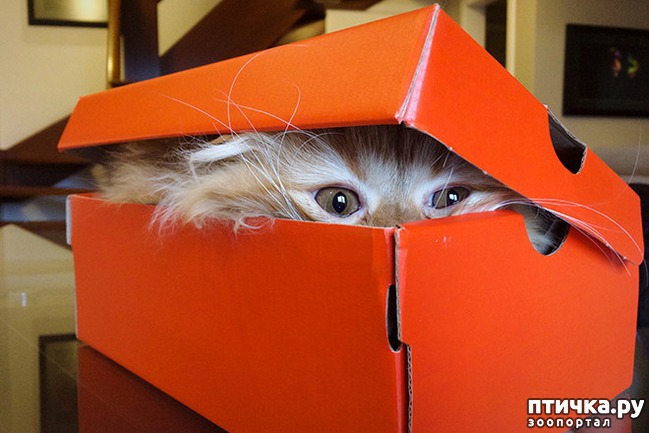 ���� 21: ����� � ��� �������� ��������, ����� 2