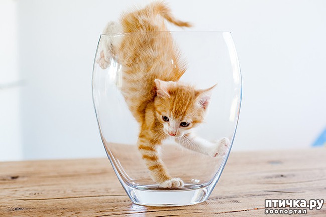 ���� 22: ����� � ��� �������� ��������, ����� 2