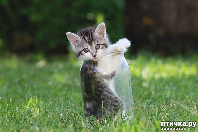 ���� 23: ����� � ��� �������� ��������, ����� 2