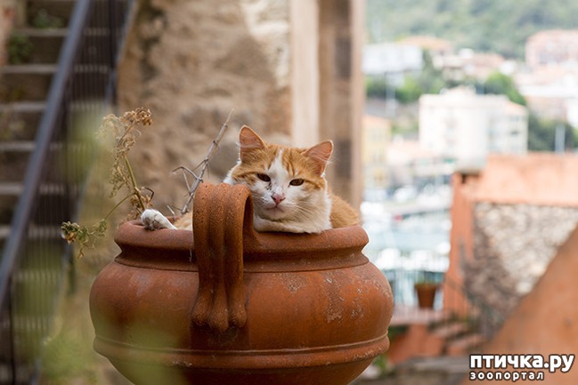 ���� 24: ����� � ��� �������� ��������, ����� 2